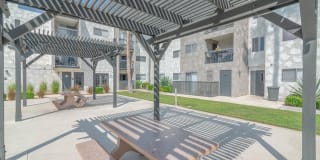 THE MODERN CACTUS Gallery 16