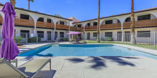 Aster on University Gallery 7