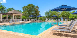 Cortland Independence Cortland Independence Gallery 21