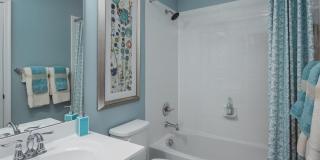 222 Amber Acorn Avenue Gallery 19