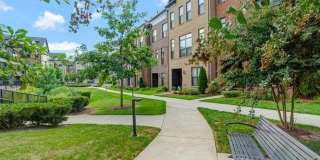 12258 SESSILE CMNS Gallery 1