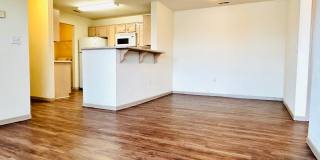2 Bedroom Apartment, Great Location! Gallery 4