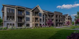 The Canter The Canter Gallery 3