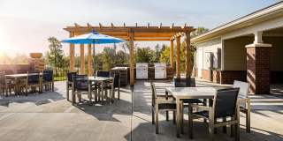 Avoca Apartments Gallery 11