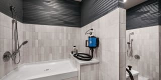 Roadrunner on McDowell Gallery 26