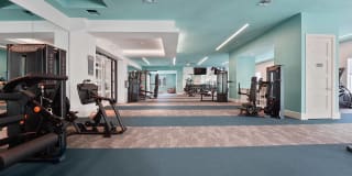 Millennium MetroWest Gallery 9