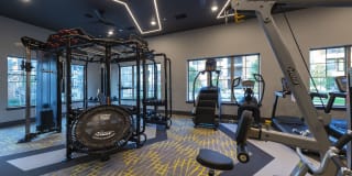 Braxton at Tamarron Gallery 19