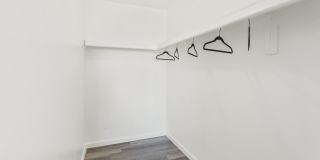 Rise Camelback Gallery 14