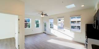 Lava Gallery 16