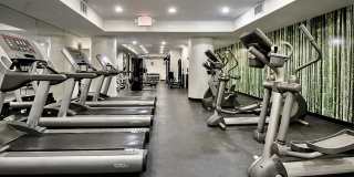 100 West 58th Street Gallery 11