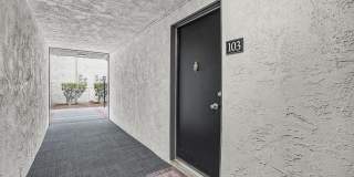 Tierra Del Sol Gallery 55