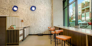 Quin + Nita Gallery 4