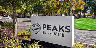 Peaks on Redwood Gallery 1