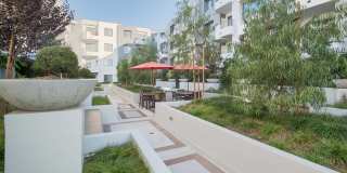 Woodley Sara Gallery 17