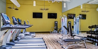 Cumberland On Church Gallery 19