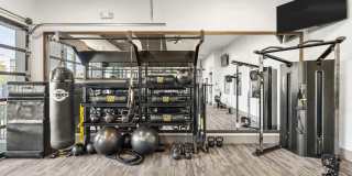 The Aster at Mountain Vista - BRAND NEW Gallery 28