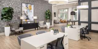 Holly Grove Gallery 12