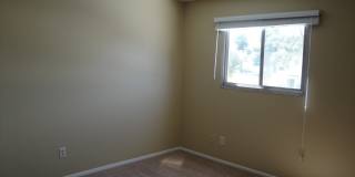 6523 S LA CORTA Drive Gallery 4