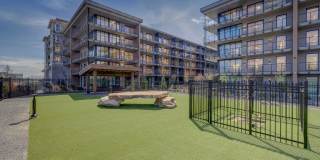 Sanctuary Gallery 29