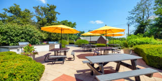 Village at Fox Point Gallery 5