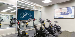 Station Bay Gallery 4