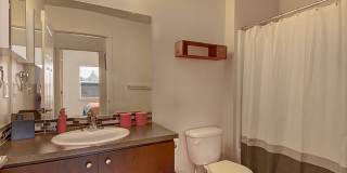 Element 170 Gallery 25