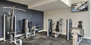 The Abbey Gallery 16