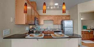 The Vintage Gallery 4