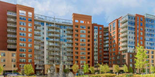 The Clark Gallery 46