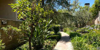 Spacious 3 bedroom 2.5 bath Condo for rent in Woodland Hills! Gallery 54