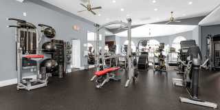 TGM University Park Gallery 30