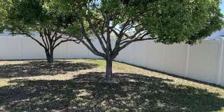 704 Torrey Pines Avenue Gallery 14