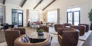 Waterleaf at Cold Springs Gallery 4