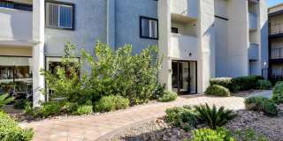 4200 Paradise Gallery 19