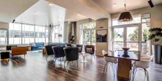 Aspira Gallery 41