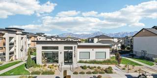 Carrington Square Gallery 91