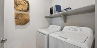 Rye Heights Gallery 6