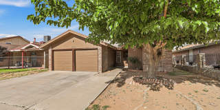 10902 YOGI BERRA Circle Gallery 1