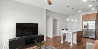 Avalon Lowry Gallery 17