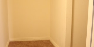 SHOWINGS AVAILABLE NOW Gallery 21