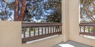 Paloma Vista Apartment Homes Gallery 100