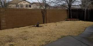 VERY CUTE 3BD/2BTH SINGLE FAMILY IN NORTH LINCOLN Gallery 19