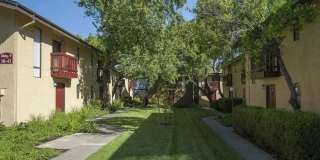 Park Haven Gallery 4