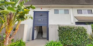 Barbara Street Gallery 1