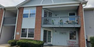 5143 Cheryl Dr Gallery 1