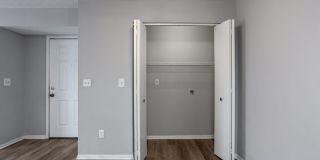 Forest View Gallery 7