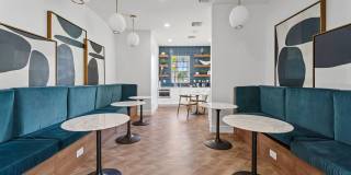 Windsor Coral Springs Gallery 20