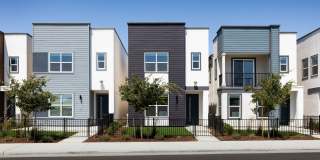 Cyrene at Meadowlands Gallery 2