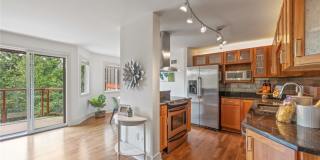Evergreen Hills Gallery 1