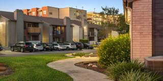 South Lamar Village Gallery 8